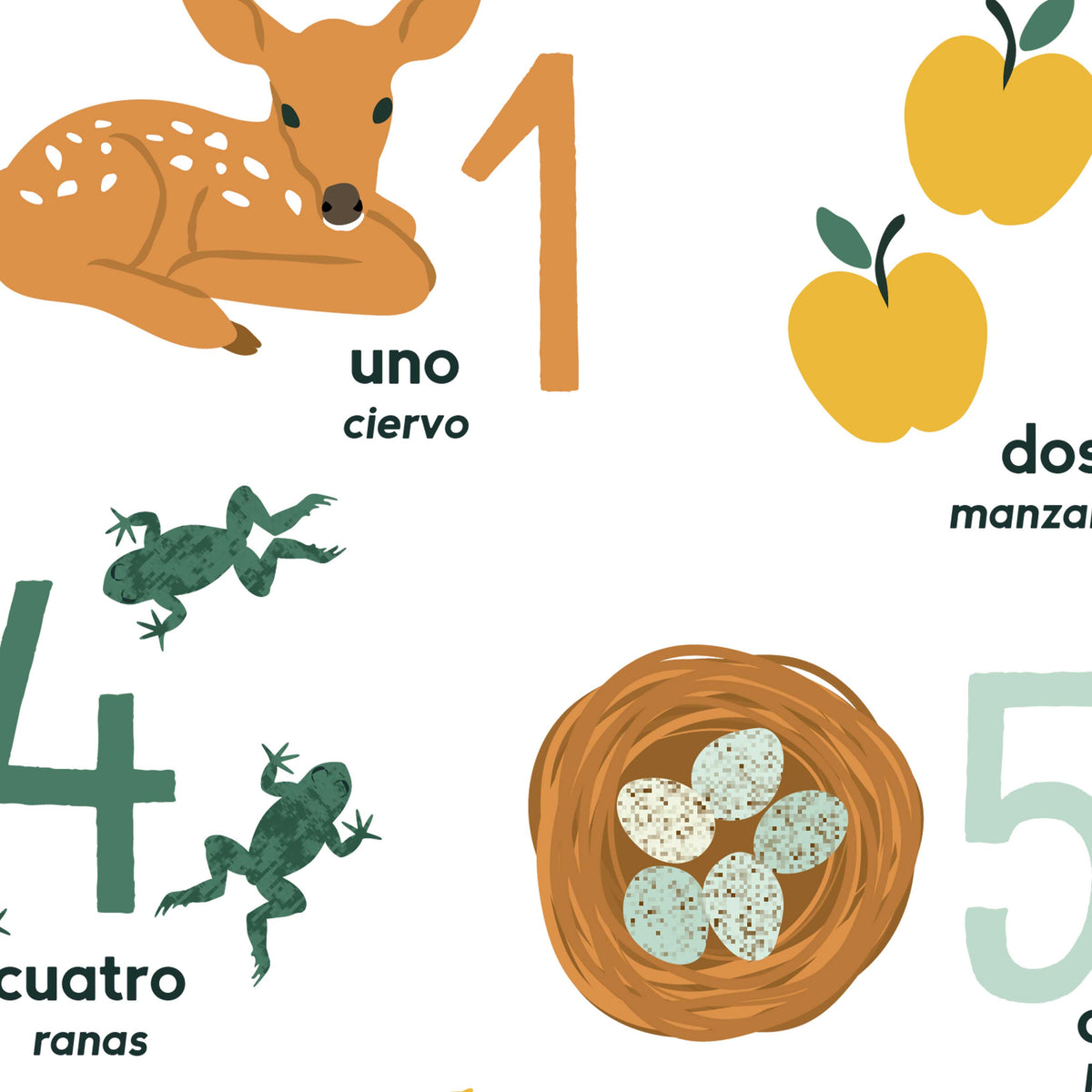 Spanish Kids Counting Placemat, Los Números en Español 110, Homeschoo