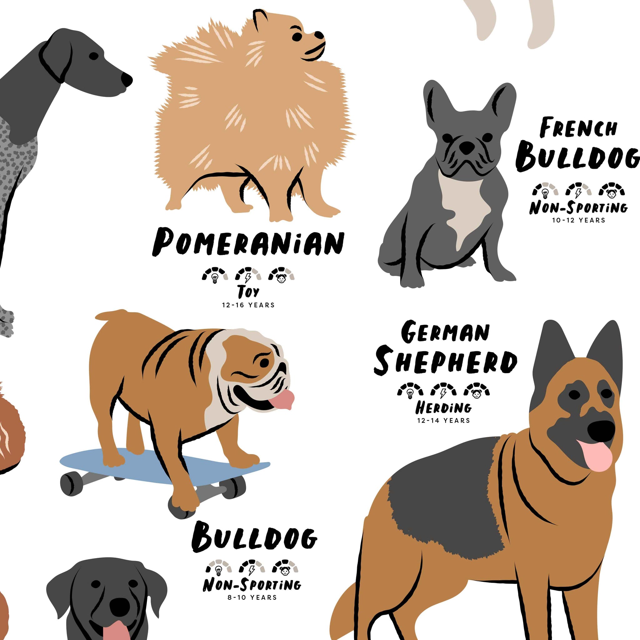 Dog Poster, Illustrated Dogs, Dog Breeds, Fun Print, Kids Gifts