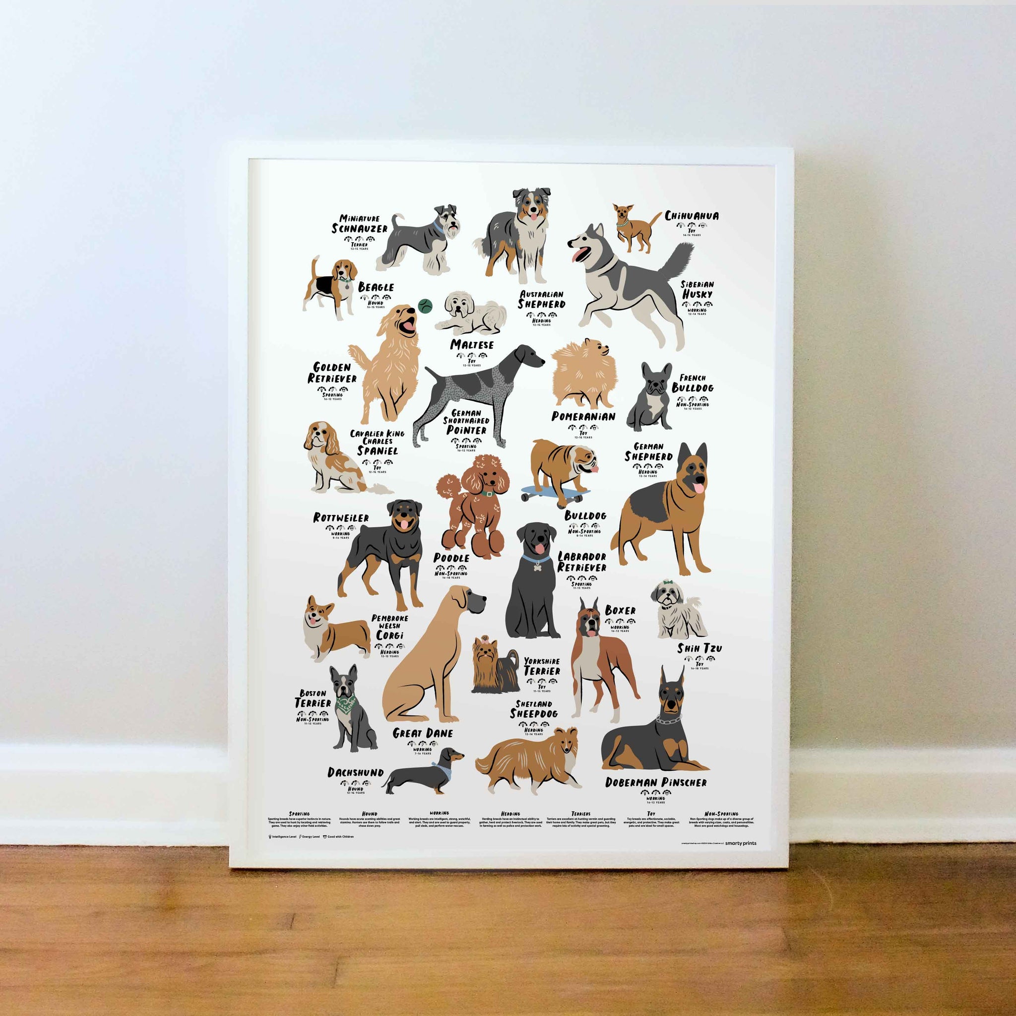 Dog Poster, Illustrated Dogs, Dog Breeds, Fun Print, Kids Gifts