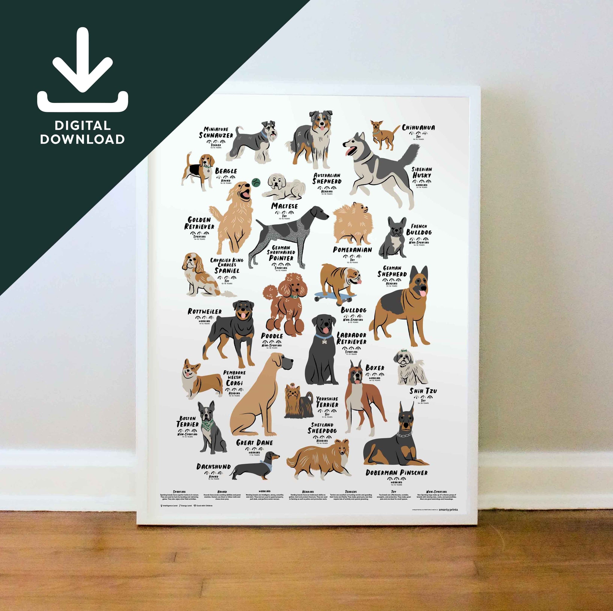 Dog Poster, Illustrated Dogs, Dog Breeds, Fun Print, Kids Gifts
