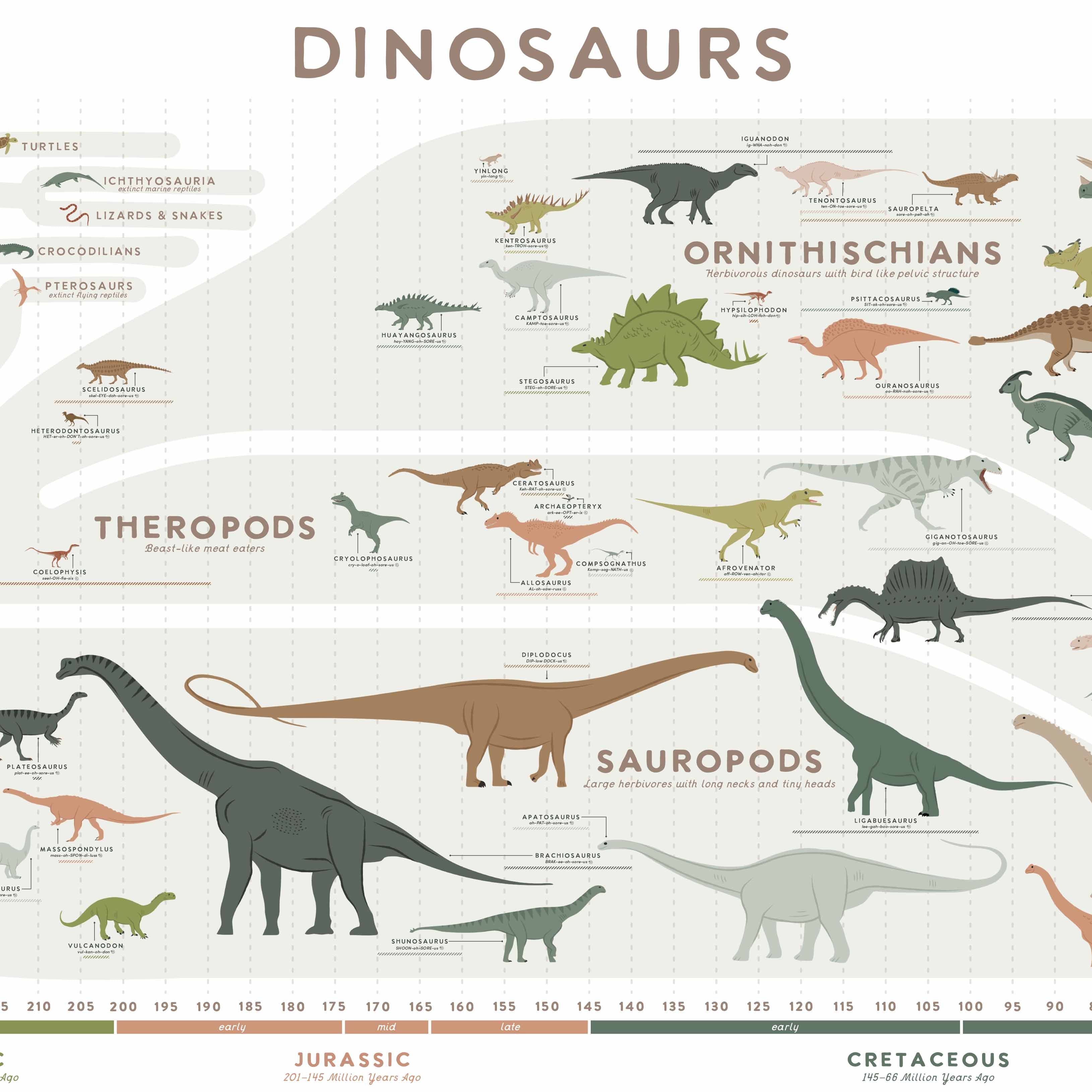 Dinosaur Evolution Printable Poster, Paleontology Print, Dinosaur Déco ...