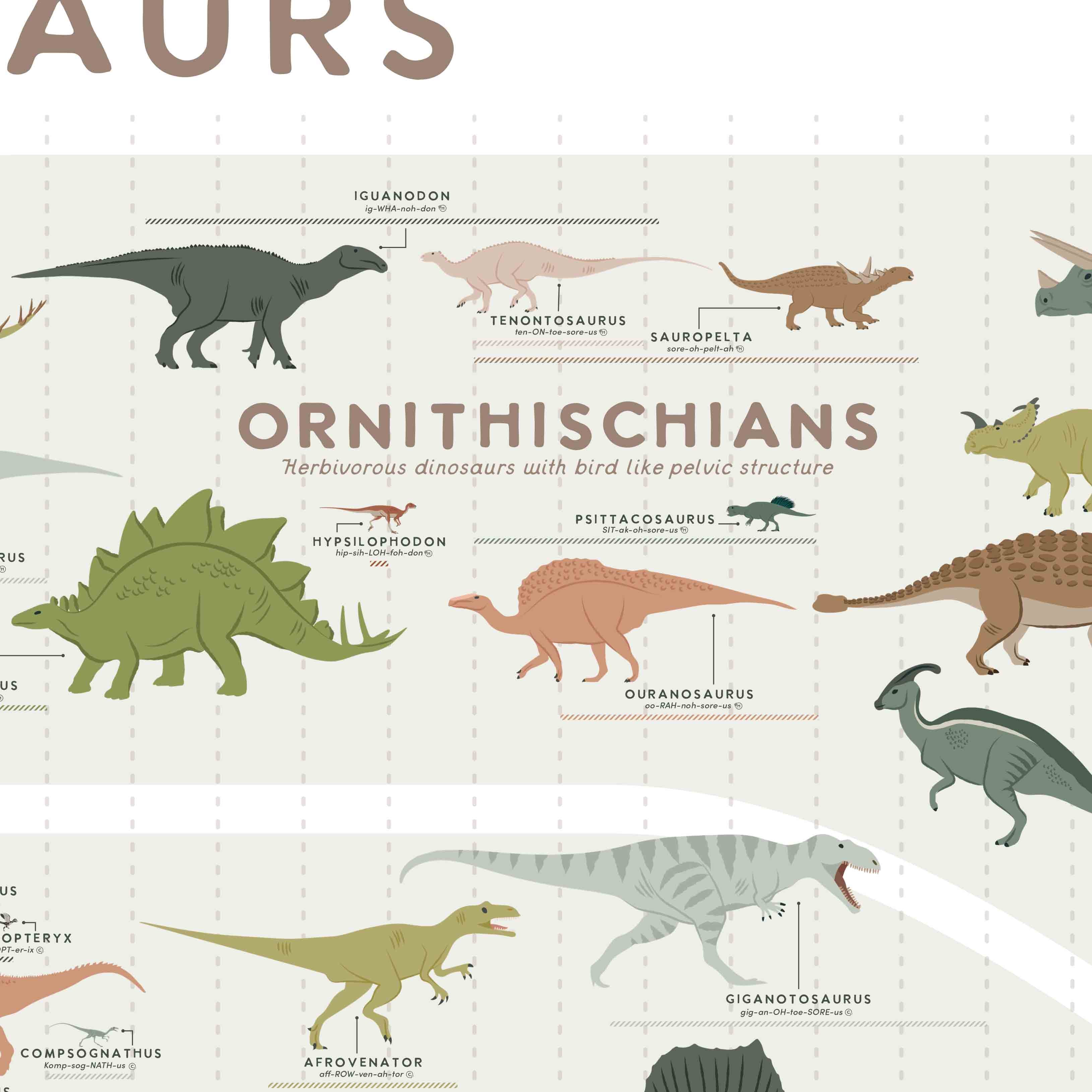 Dinosaur Evolution Educational Chart Reptile Art Wall Room Poster - POSTER  20x30