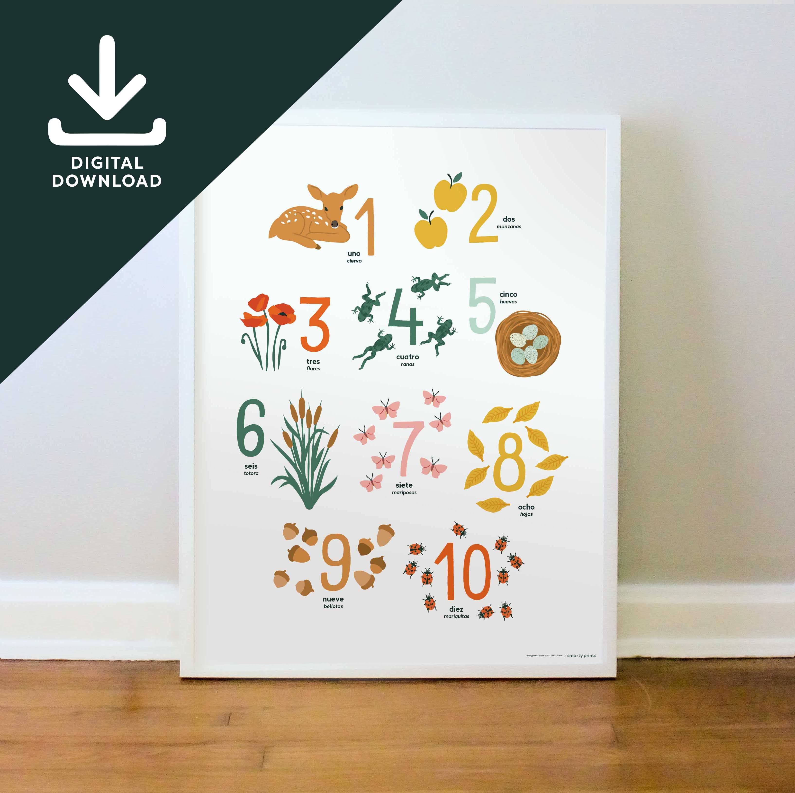 Spanish Illustrated Counting Printable Poster, Los Números en Español ...