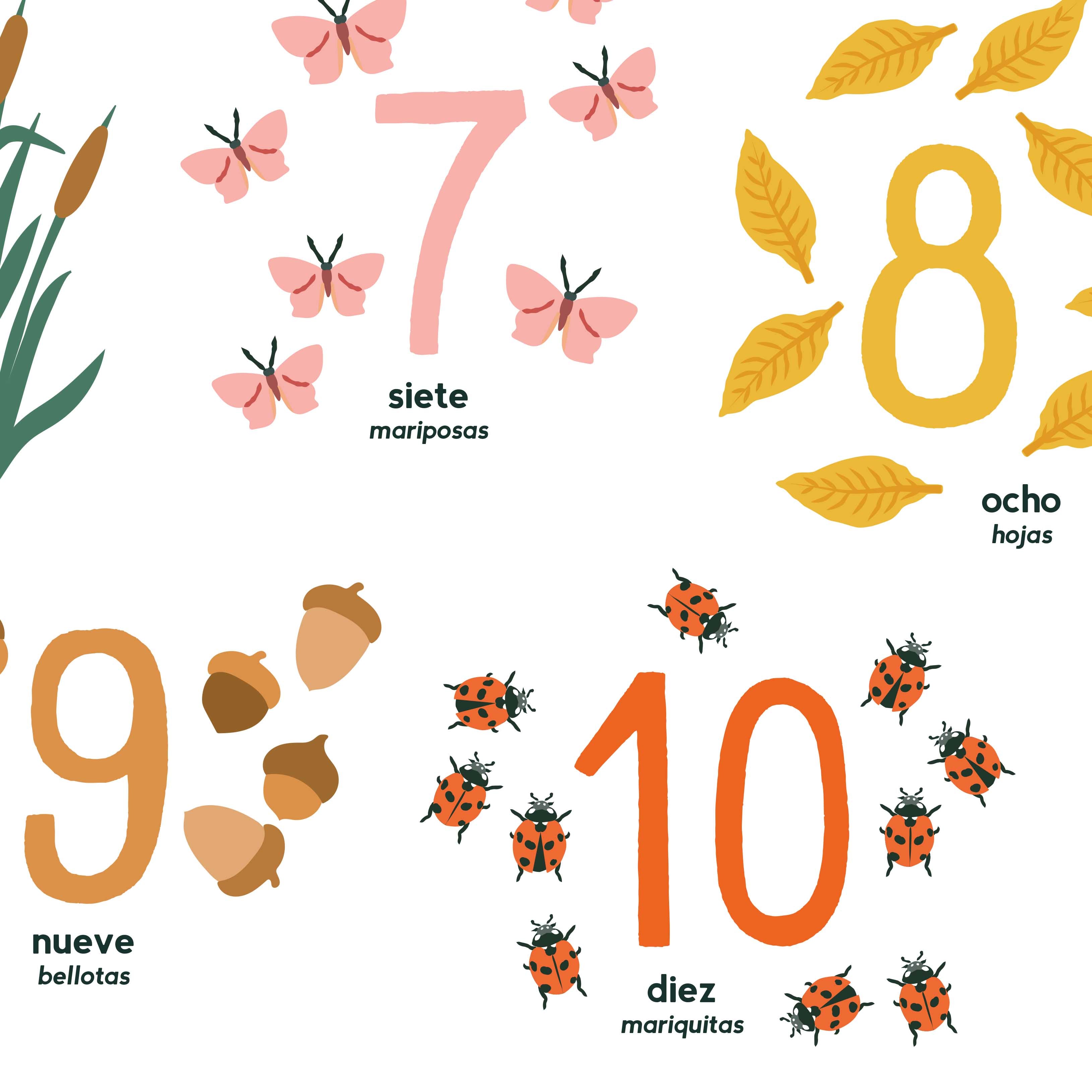 Spanish Illustrated Counting Poster, Los Números en Español 1-10, Natu ...
